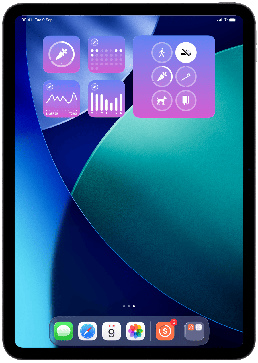 Widgets on iPad.
